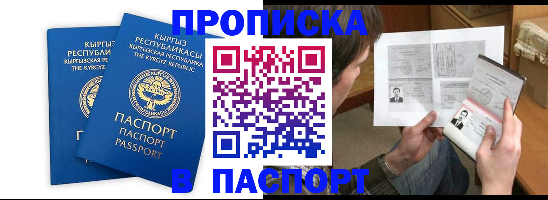 прописка гарантия в Новозыбкове